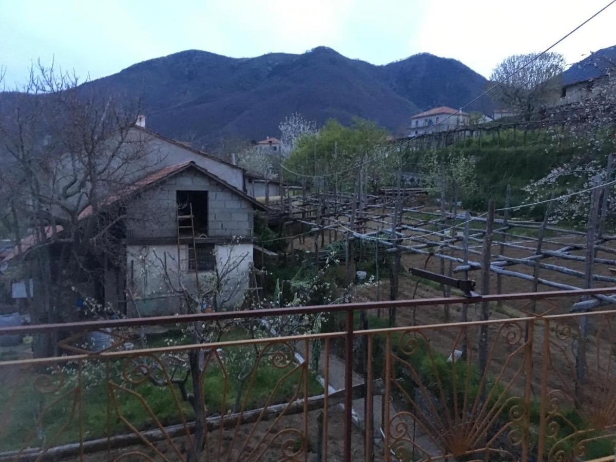 Dafne Holiday Agerola Εξωτερικό φωτογραφία