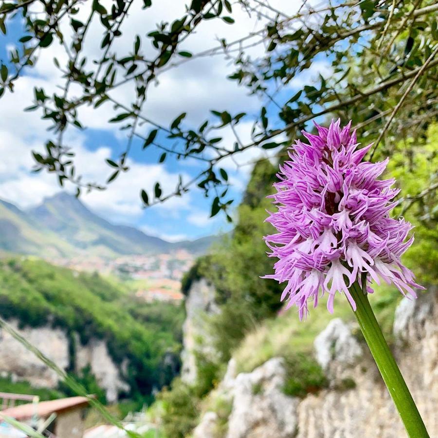 Dafne Holiday Agerola Εξωτερικό φωτογραφία